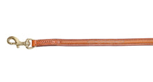 Pear Tannery Raised Fancy Stitched Leather Dog Lead 5/8"
