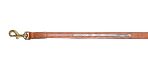 Luxury Swarovski Diamonds Leather dog lead