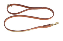 Pear Tannery Clincher Leather Dog Lead 5/8"