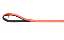 Pear Tannery Soft Padded Flat Leather Dog Lead