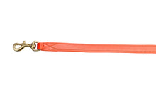 Pear Tannery Soft Padded Flat Leather Dog Lead