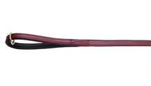 Pear Tannery Soft Padded Flat Leather Dog Lead