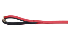 Pear Tannery Soft Padded Flat Leather Dog Lead