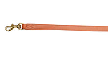 Pear Tannery Soft Padded Flat Leather Dog Lead