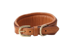 Pear Tannery Greyhound Leather Padded Dog Collar