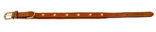 Pear Tannery Padded Leather Dog Collar With Star