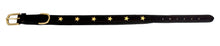 Pear Tannery Padded Leather Dog Collar With Star