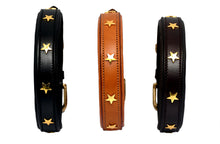 Pear Tannery Padded Leather Dog Collar With Star