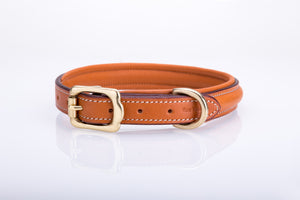 Pear Tannery Fancy Stitched Padded Leather Dog Collar