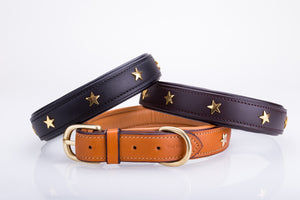 Pear Tannery Padded Leather Dog Collar With Star