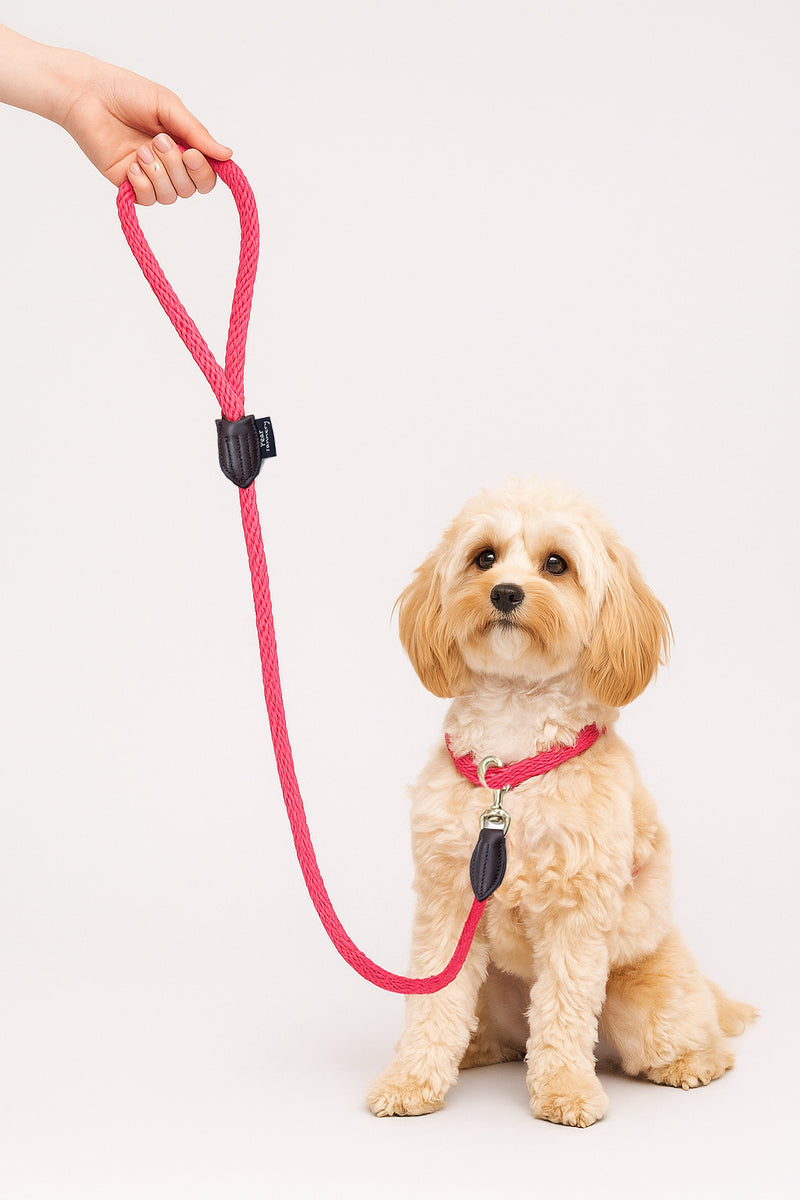 Pear Tannery Rope Slip Lead – PearTannery