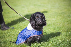 Pear Tannery Pro Quilted Dog Coat