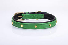 Pear Tannery Soft Padded Flat Leather Dog Collar star