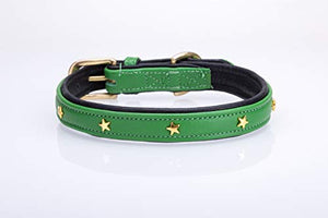 Pear Tannery Soft Padded Flat Leather Dog Collar star