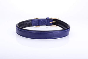 Pear Tannery Soft Padded Flat Leather Dog Collar