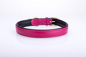 Pear Tannery Soft Padded Flat Leather Dog Collar
