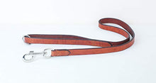 Pear Tannery Flat Leather Dog Lead 3/4" and Silver Fittings
