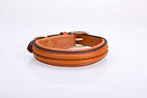 Pear Tannery Elegant Double Raised Leather Dog Collar