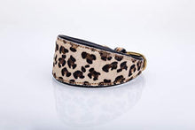 Pear Tannery Leopard Print Padded Flat Leather GreyHound Collar