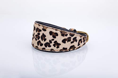 Pear Tannery Leopard Print Padded Flat Leather GreyHound Collar