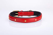 Pear Tannery Soft Padded Flat Leather Dog Collar star