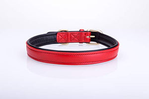 Pear Tannery Soft Padded Flat Leather Dog Collar