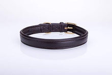 Pear Tannery Soft Padded Flat Leather Dog Collar