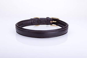 Pear Tannery Soft Padded Flat Leather Dog Collar
