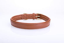Pear Tannery Soft Padded Flat Leather Dog Collar