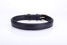 Pear Tannery Soft Padded Flat Leather Dog Collar