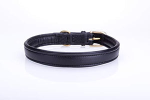 Pear Tannery Soft Padded Flat Leather Dog Collar