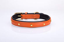 Pear Tannery Soft Padded Flat Leather Dog Collar star