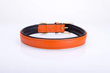 Pear Tannery Soft Padded Flat Leather Dog Collar
