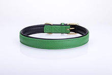 Pear Tannery Soft Padded Flat Leather Dog Collar