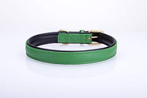 Pear Tannery Soft Padded Flat Leather Dog Collar