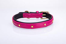 Pear Tannery Soft Padded Flat Leather Dog Collar star