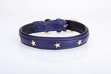 Pear Tannery Soft Padded Flat Leather Dog Collar star