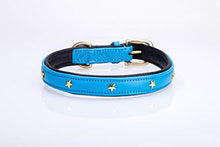 Pear Tannery Soft Padded Flat Leather Dog Collar star