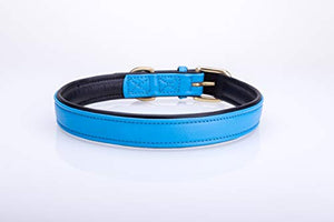 Pear Tannery Soft Padded Flat Leather Dog Collar