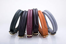 Pear Tannery Thick Soft Padded Flat Leather Dog Collar