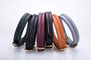 Pear Tannery Thick Soft Padded Flat Leather Dog Collar