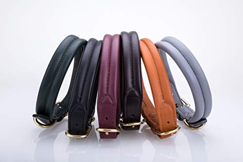Pear Tannery Thick Soft Padded Flat Leather Dog Collar