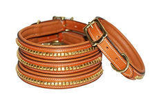 Pear Tannery Brass Clincher Leather Dog Collar