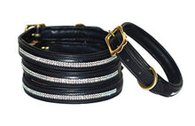 Pear Tannery Swarovski Diamond Padded Leather Dog Collar