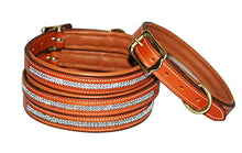 Pear Tannery Swarovski Diamond Padded Leather Dog Collar