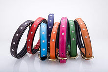 Pear Tannery Soft Padded Flat Leather Dog Collar Swarovki