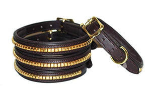 Pear Tannery Brass Clincher Leather Dog Collar