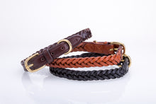 Pear Tannery Plaited Leather Dog Collar