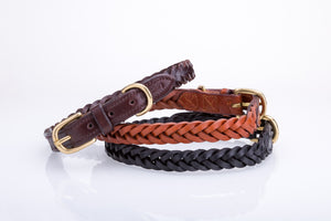Pear Tannery Plaited Leather Dog Collar