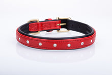 Pear Tannery Soft Padded Flat Leather Dog Collar Swarovki